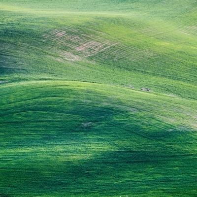 精灵学院挂机版下载