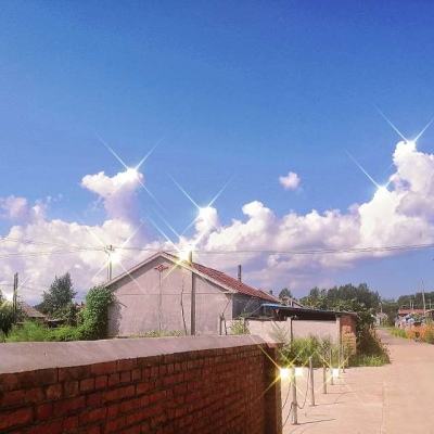 飘渺仙绝官方版下载